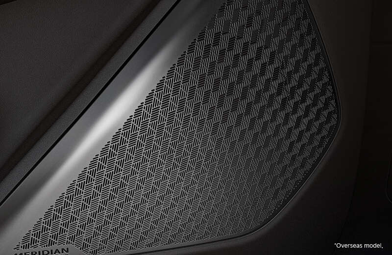 Meridian Premium Sound System with 14 Speakers 