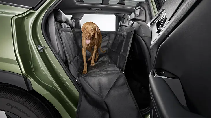 pet seat cover