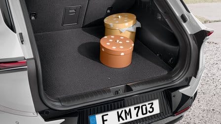 Koberec batožinového priestoru