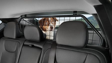 Mreža batožinového priestoru