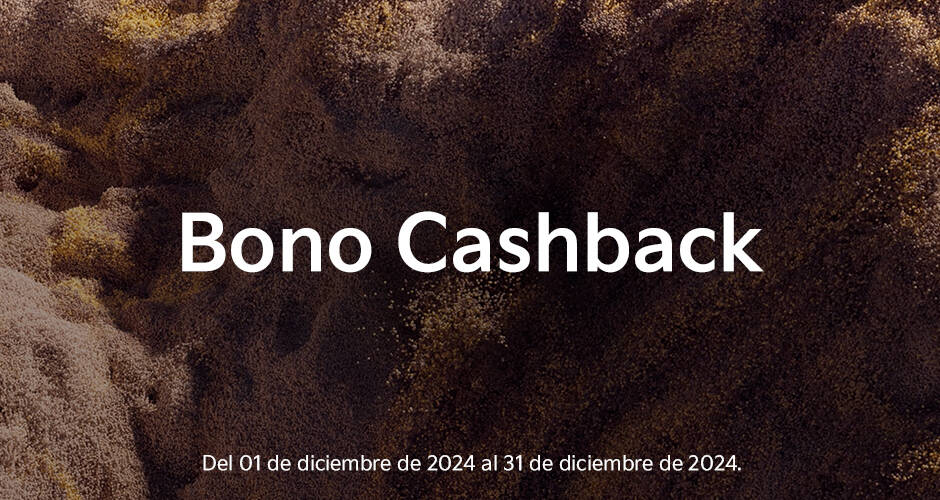 cashback-december-2024-kia-mexico