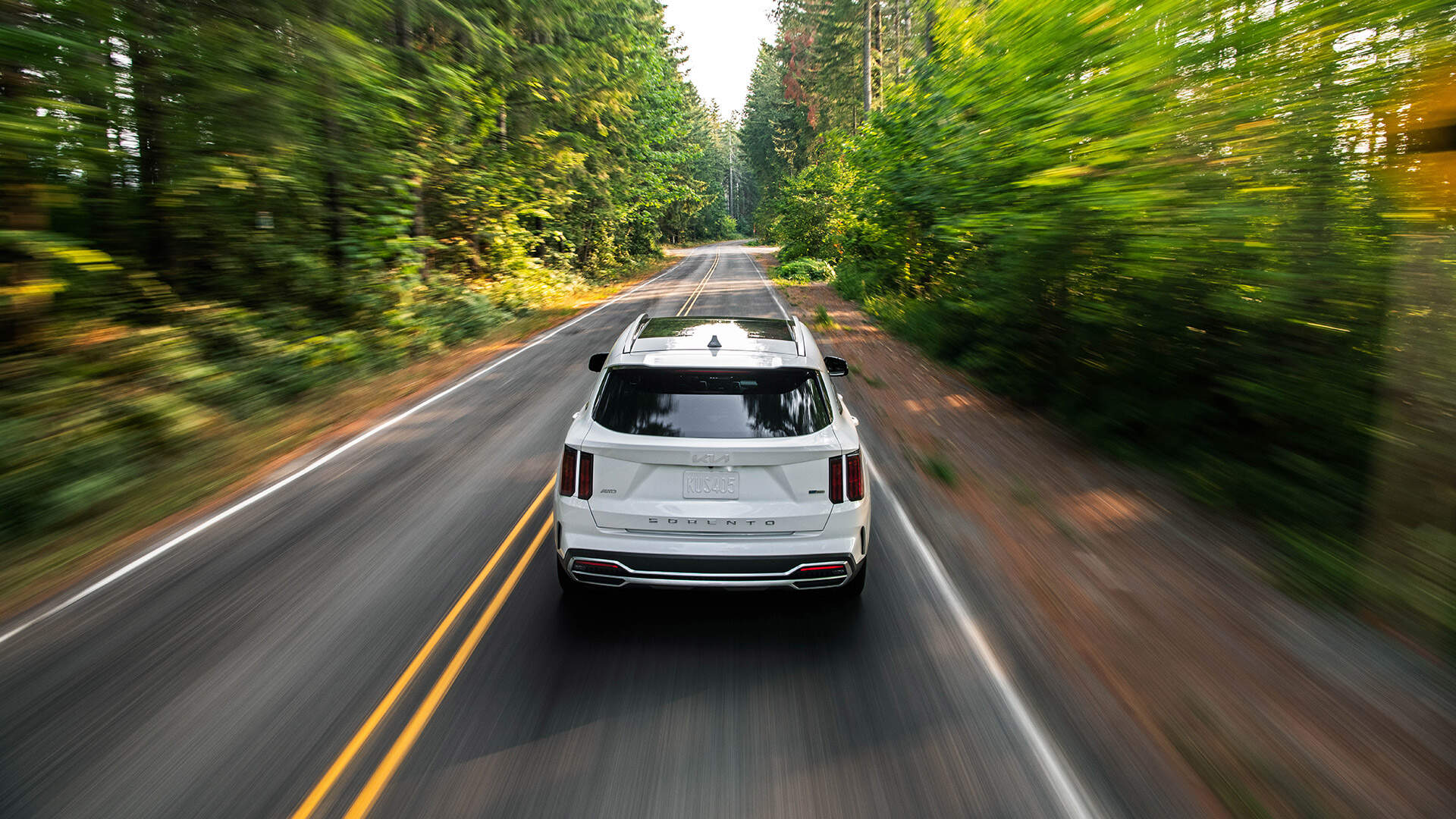 The Sorento speeding through green woods