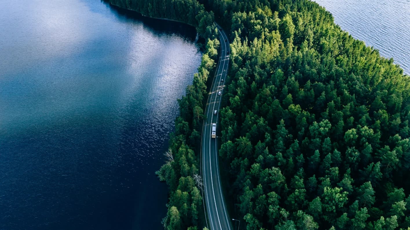 森林と湖の間の道路を捉えた航空写真